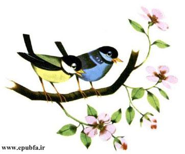 پرندهها روی شاخههای درختها مینشستند و چنان آوای دلنشینی سر میدادند